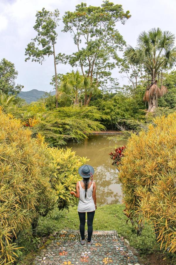Kantu Garden Lodge Moyobamba Ngoại thất bức ảnh